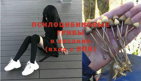 ALPHA-PVP Богородицк